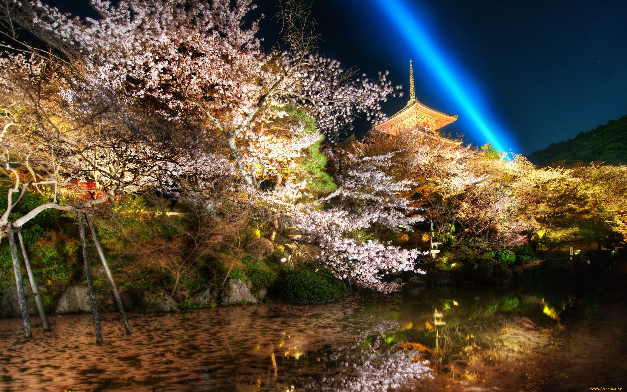 kyoto, japan, , 